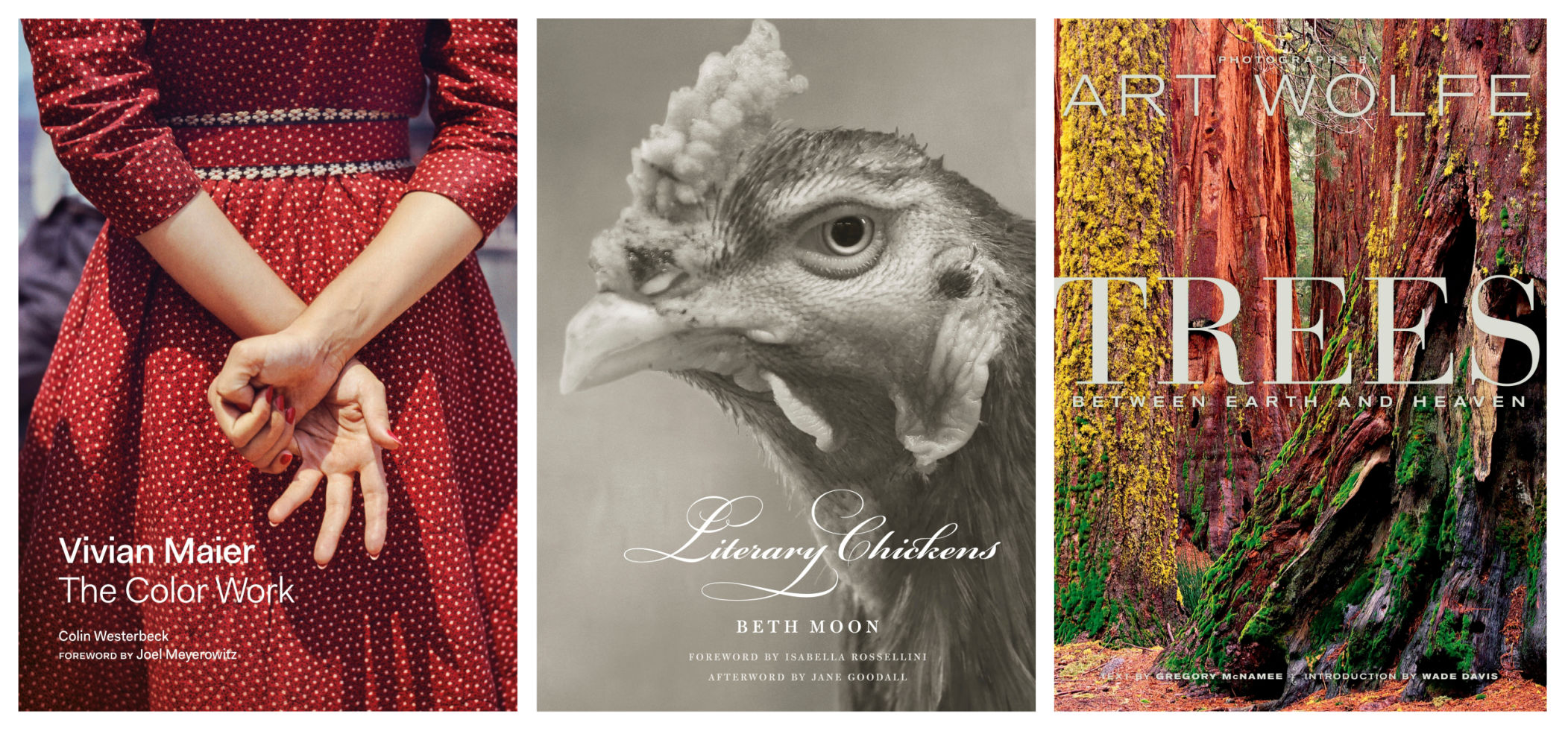 Photography books gift guide